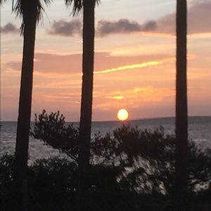 Meet your Posher, Ami